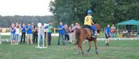 international/Poland/2008Warka/gallery/thumbnails/Cert_after_rally_160 km.jpg